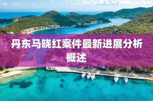 丹東馬曉紅案件最新進展分析概述