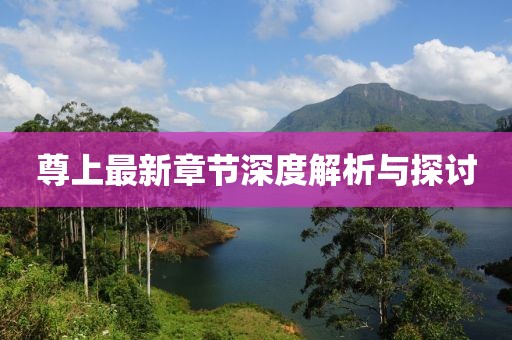尊上最新章節(jié)深度解析與探討