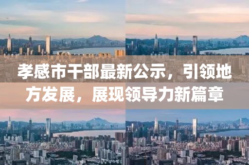 孝感市干部最新公示，引領(lǐng)地方發(fā)展，展現(xiàn)領(lǐng)導(dǎo)力新篇章