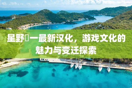 星野竜一最新漢化，游戲文化的魅力與變遷探索