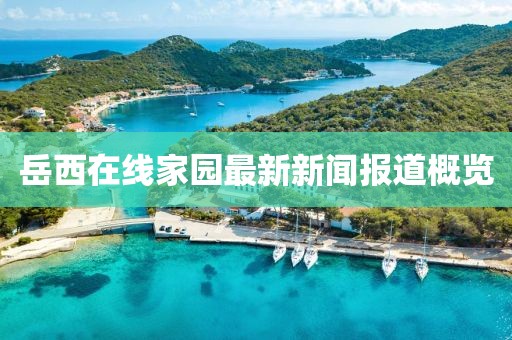 岳西在線家園最新新聞報道概覽