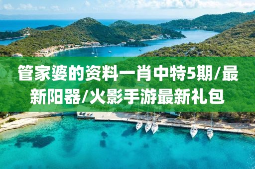 管家婆的資料一肖中特5期/最新陽器/火影手游最新禮包