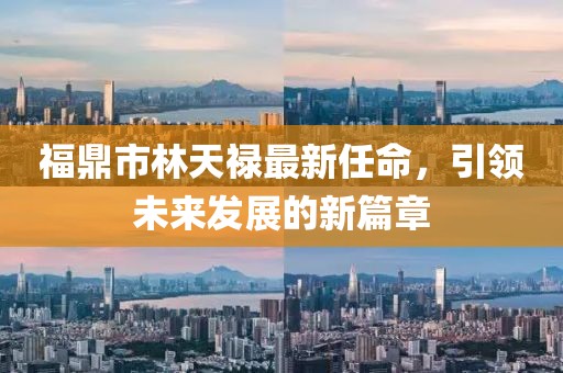 福鼎市林天祿最新任命，引領(lǐng)未來發(fā)展的新篇章