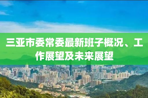 三亞市委常委最新班子概況、工作展望及未來展望