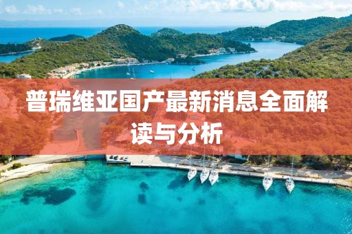普瑞維亞國產(chǎn)最新消息全面解讀與分析