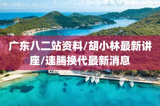 廣東八二站資料/胡小林最新講座/速騰換代最新消息