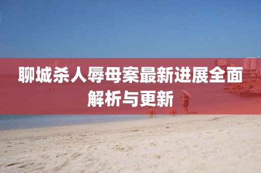 聊城殺人辱母案最新進(jìn)展全面解析與更新