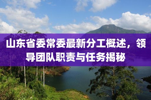 山東省委常委最新分工概述，領(lǐng)導(dǎo)團(tuán)隊(duì)職責(zé)與任務(wù)揭秘