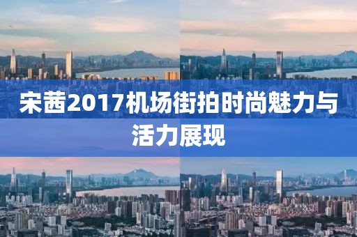 宋茜2017機(jī)場街拍時尚魅力與活力展現(xiàn)