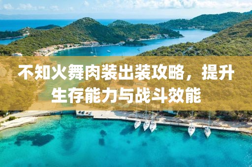 不知火舞肉裝出裝攻略，提升生存能力與戰(zhàn)斗效能