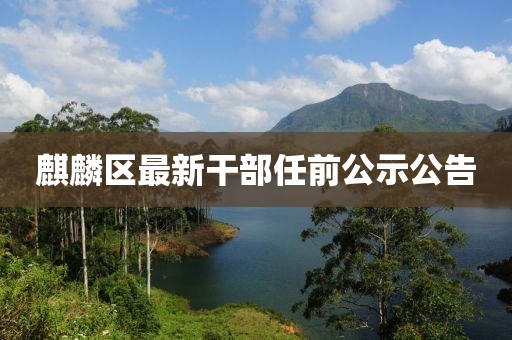 麒麟?yún)^(qū)最新干部任前公示公告