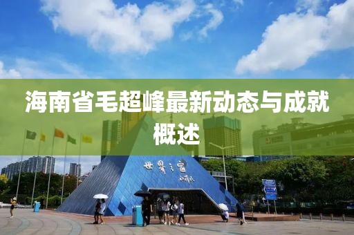 海南省毛超峰最新動(dòng)態(tài)與成就概述