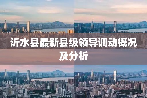 沂水縣最新縣級(jí)領(lǐng)導(dǎo)調(diào)動(dòng)概況及分析
