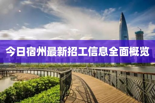 今日宿州最新招工信息全面概覽