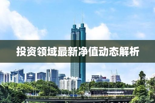 投資領域最新凈值動態(tài)解析
