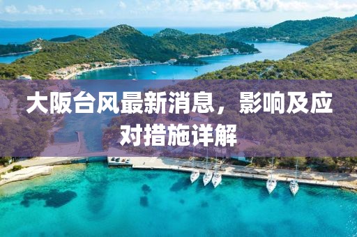 大阪臺風最新消息，影響及應對措施詳解