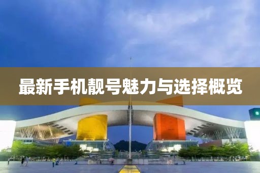 最新手機靚號魅力與選擇概覽