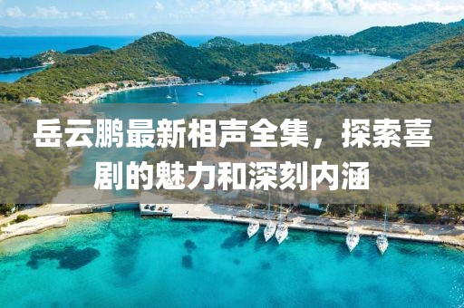 岳云鵬最新相聲全集，探索喜劇的魅力和深刻內(nèi)涵