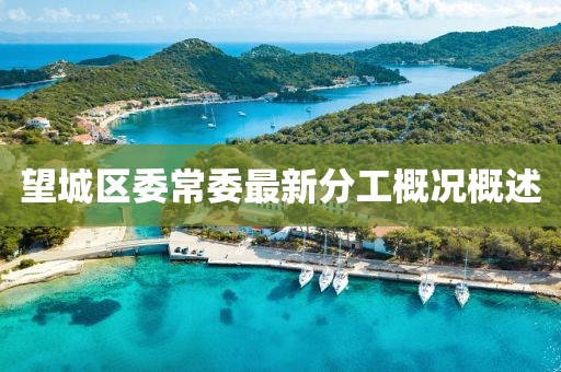 望城區(qū)委常委最新分工概況概述