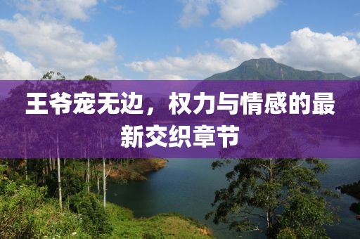 王爺寵無(wú)邊，權(quán)力與情感的最新交織章節(jié)