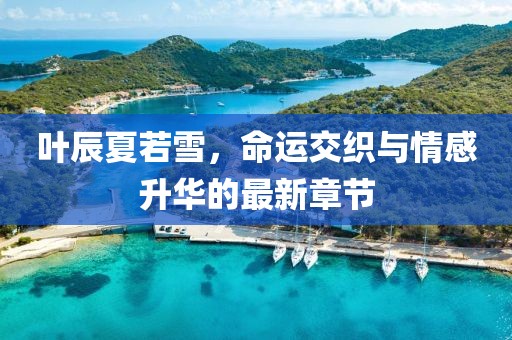 葉辰夏若雪，命運(yùn)交織與情感升華的最新章節(jié)