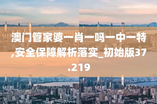 澳門管家婆一肖一嗎一中一特,安全保障解析落實_初始版37.219