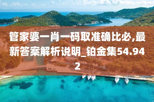 管家婆一肖一碼取準(zhǔn)確比必,最新答案解析說明_鉑金集54.942