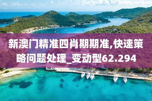 新澳門精準(zhǔn)四肖期期準(zhǔn),快速策略問題處理_變動型62.294