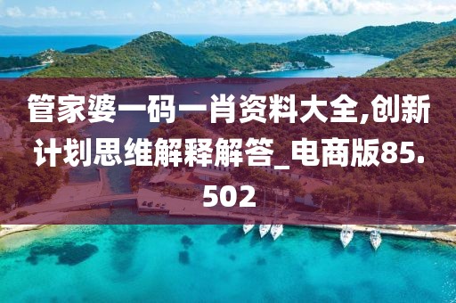 管家婆一碼一肖資料大全,創(chuàng)新計(jì)劃思維解釋解答_電商版85.502