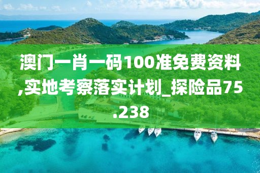澳門一肖一碼100準(zhǔn)免費(fèi)資料,實(shí)地考察落實(shí)計(jì)劃_探險(xiǎn)品75.238