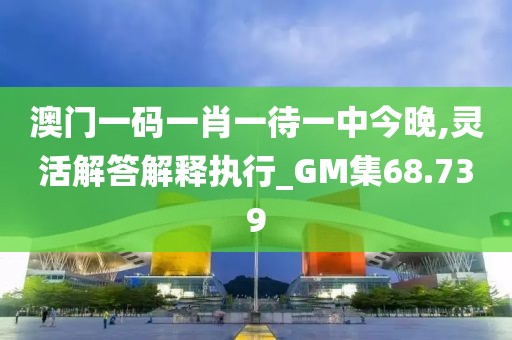 澳門(mén)一碼一肖一待一中今晚,靈活解答解釋執(zhí)行_GM集68.739