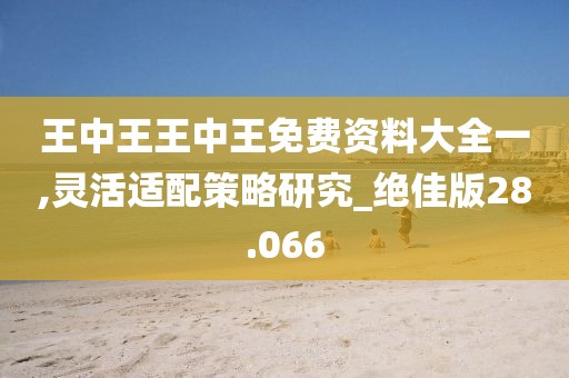 王中王王中王免費(fèi)資料大全一,靈活適配策略研究_絕佳版28.066