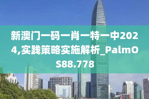 新澳門一碼一肖一特一中2024,實(shí)踐策略實(shí)施解析_PalmOS88.778