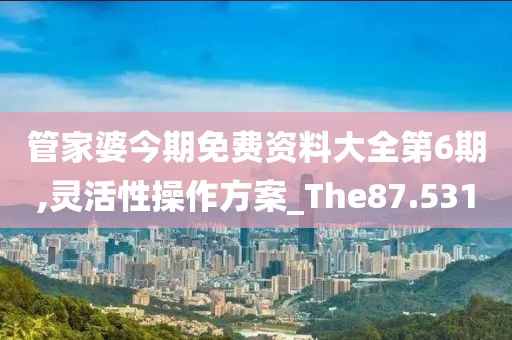 管家婆今期免費(fèi)資料大全第6期,靈活性操作方案_The87.531