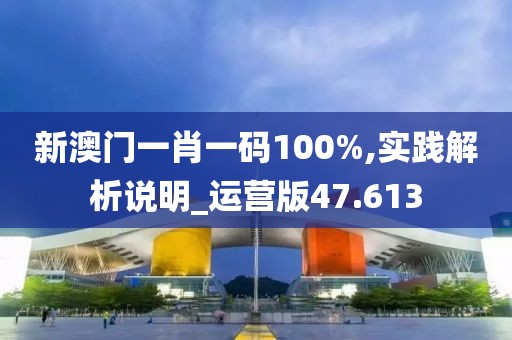 新澳門一肖一碼100%,實踐解析說明_運營版47.613