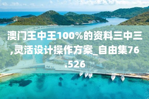 澳門王中王100%的資料三中三,靈活設(shè)計(jì)操作方案_自由集76.526