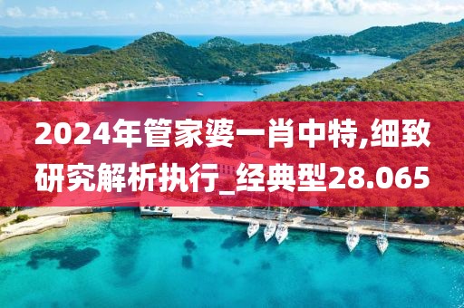 2024年管家婆一肖中特,細(xì)致研究解析執(zhí)行_經(jīng)典型28.065
