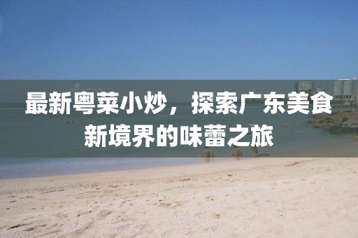 最新粵菜小炒，探索廣東美食新境界的味蕾之旅