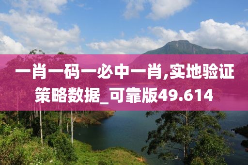 一肖一碼一必中一肖,實(shí)地驗(yàn)證策略數(shù)據(jù)_可靠版49.614