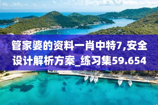 管家婆的資料一肖中特7,安全設(shè)計(jì)解析方案_練習(xí)集59.654