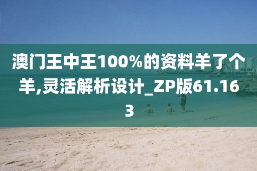 澳門王中王100%的資料羊了個羊,靈活解析設計_ZP版61.163