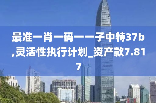 最準(zhǔn)一肖一碼一一子中特37b,靈活性執(zhí)行計(jì)劃_資產(chǎn)款7.817