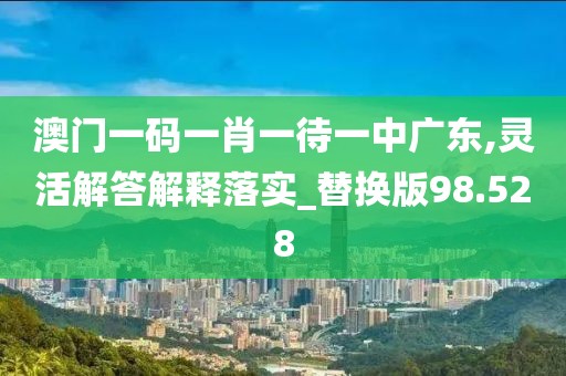 澳門(mén)一碼一肖一待一中廣東,靈活解答解釋落實(shí)_替換版98.528