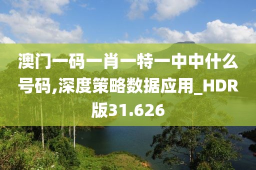 澳門一碼一肖一特一中中什么號(hào)碼,深度策略數(shù)據(jù)應(yīng)用_HDR版31.626