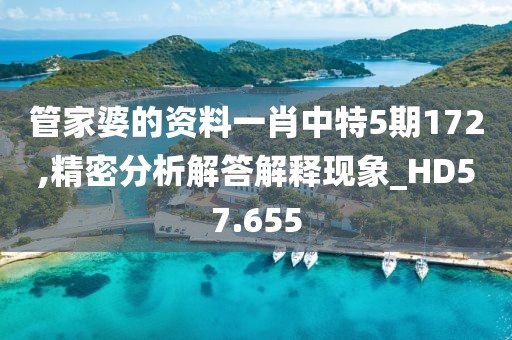 管家婆的資料一肖中特5期172,精密分析解答解釋現(xiàn)象_HD57.655