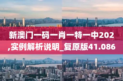 新澳門一碼一肖一特一中202,實(shí)例解析說明_復(fù)原版41.086