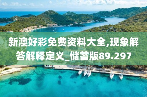 新澳好彩免費(fèi)資料大全,現(xiàn)象解答解釋定義_儲(chǔ)蓄版89.297