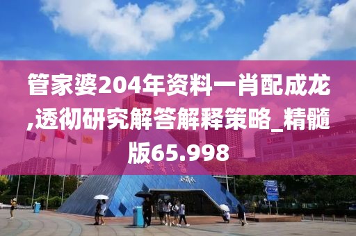 管家婆204年資料一肖配成龍,透徹研究解答解釋策略_精髓版65.998