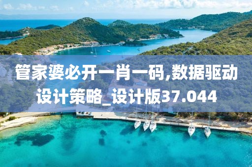 管家婆必開一肖一碼,數(shù)據(jù)驅(qū)動(dòng)設(shè)計(jì)策略_設(shè)計(jì)版37.044
