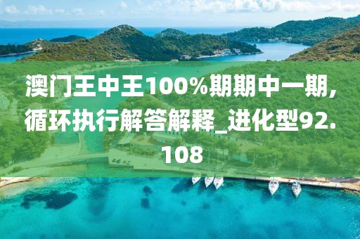 澳門王中王100%期期中一期,循環(huán)執(zhí)行解答解釋_進(jìn)化型92.108